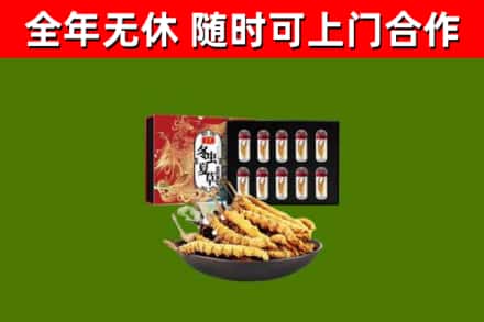 合浦回收冬虫夏草价格